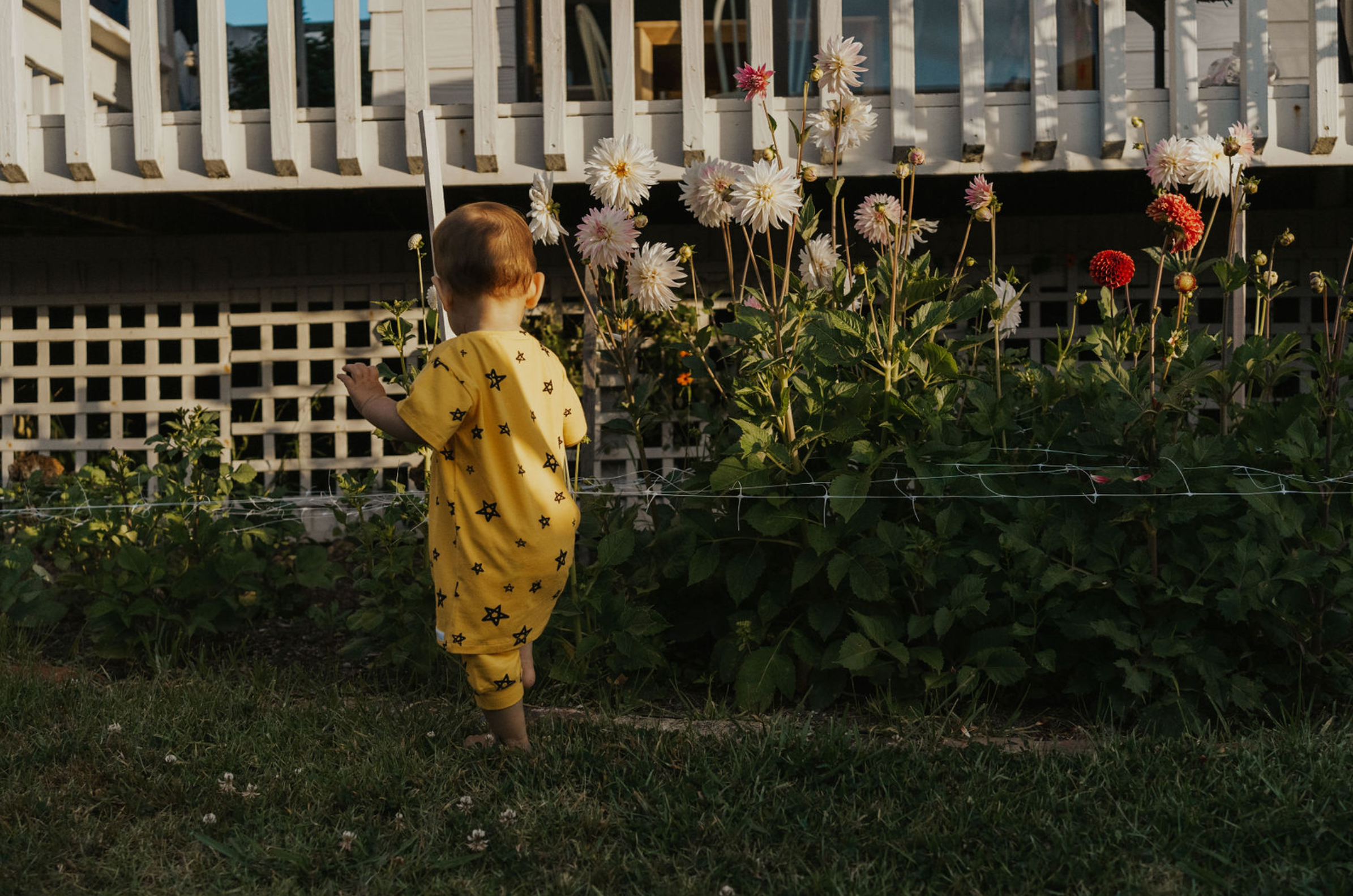 Yellow Star Shortie PJ Set